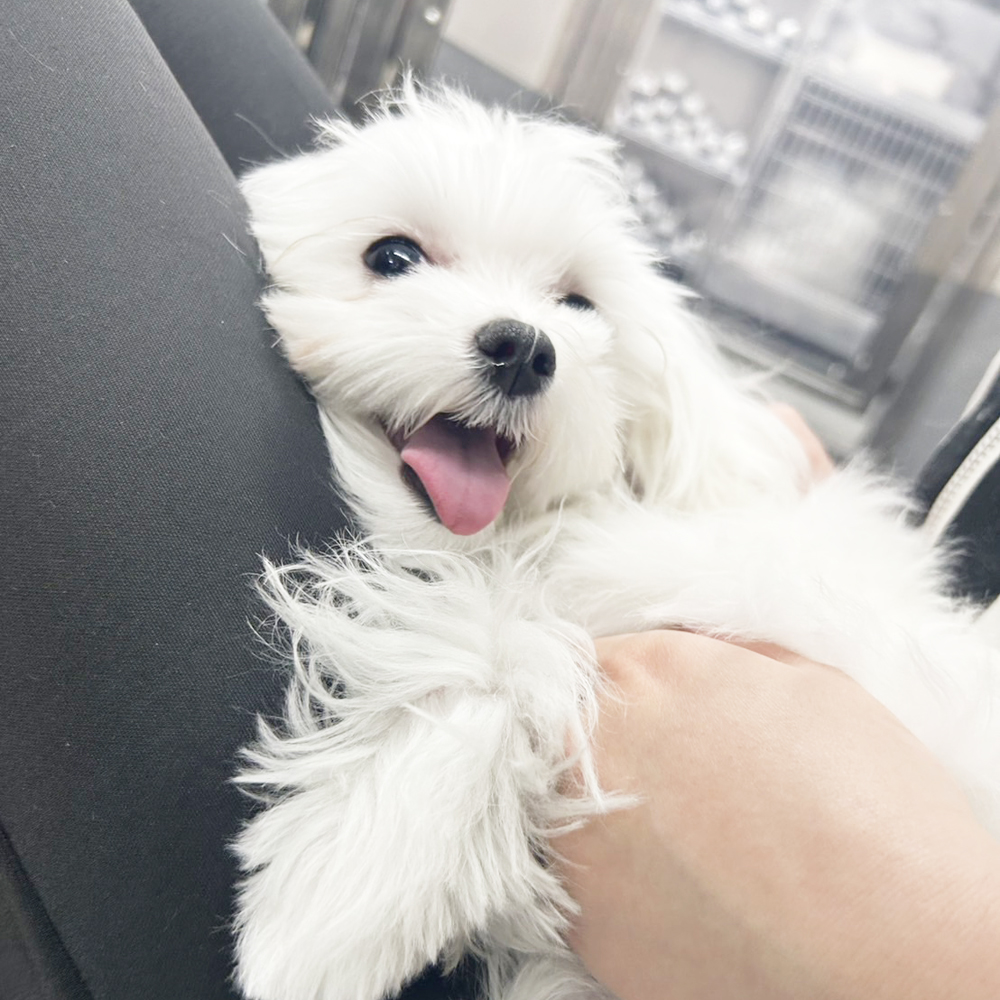 生徒が撮影した写真を送ってくれました①